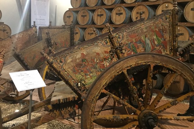 Winery tasting in Marsala and Mothia lagoon tour - Who Should Book This Tour (and Who Might Skip It)