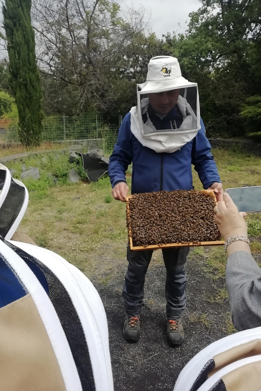 Zafferana Etnea:Honey extraction workshop and honey tasting - Key highlights you will actually notice