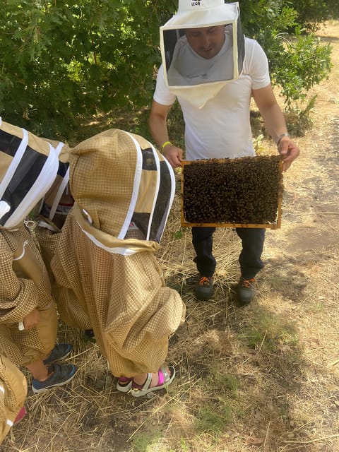 Zafferana Etnea:Honey extraction workshop and honey tasting - Price and value: is $66 worth it?